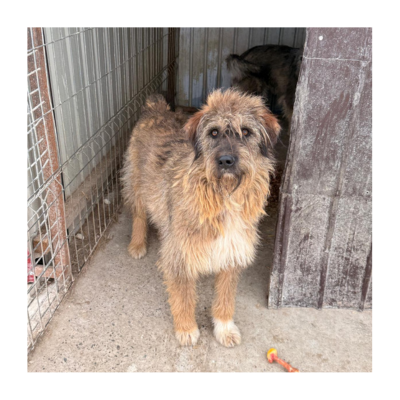 Urmel_ (15)