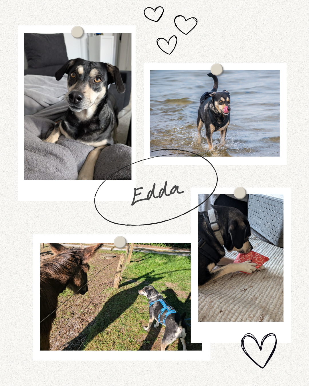 Mehr über den Artikel erfahren Happy End Edda