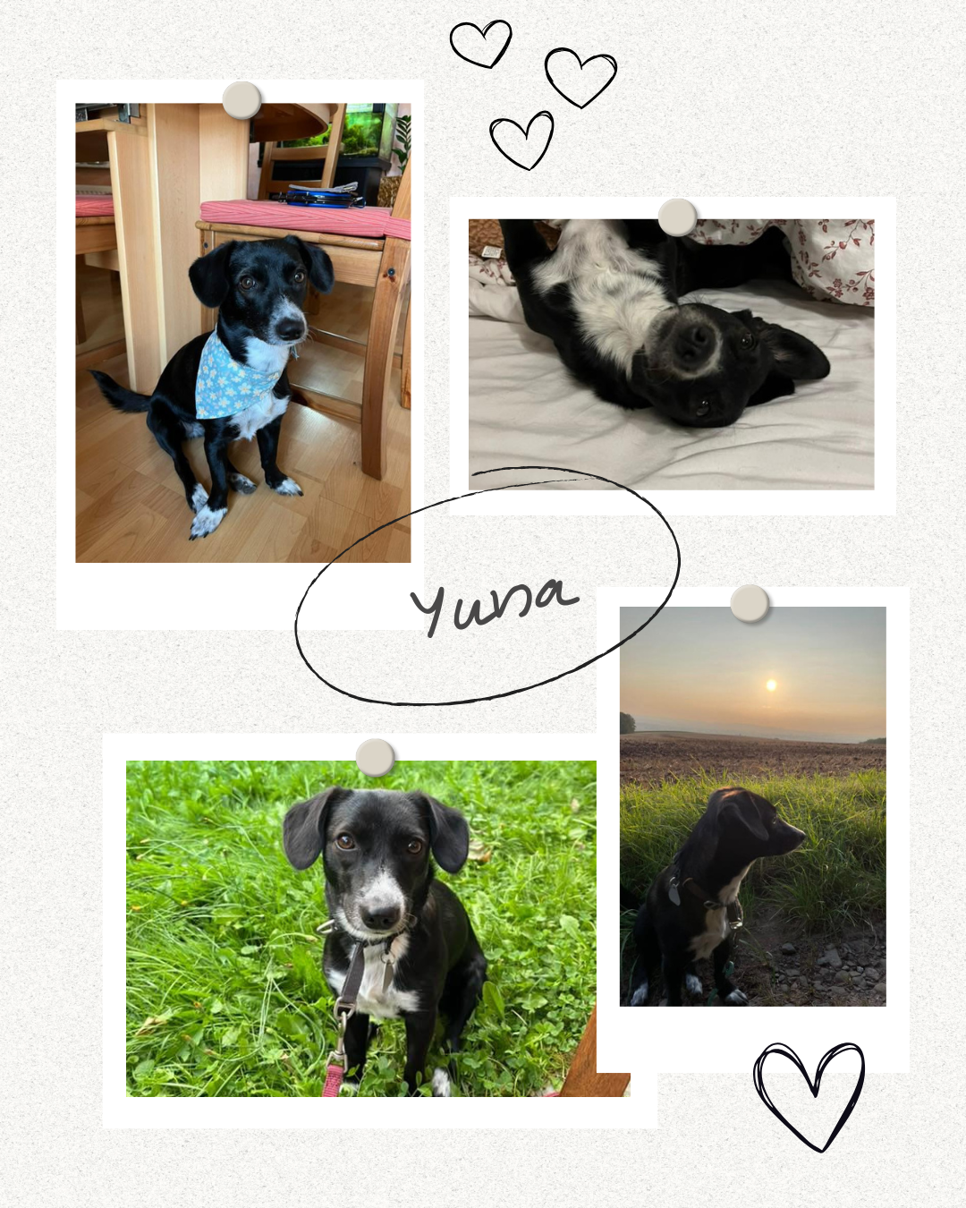 Mehr über den Artikel erfahren Happy End Yuna