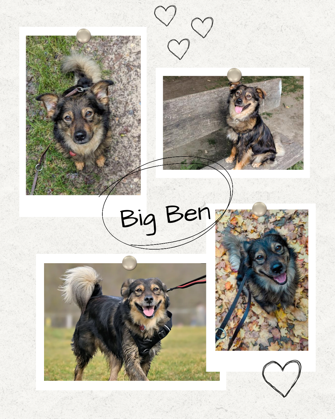 Mehr über den Artikel erfahren Happy End Big Ben