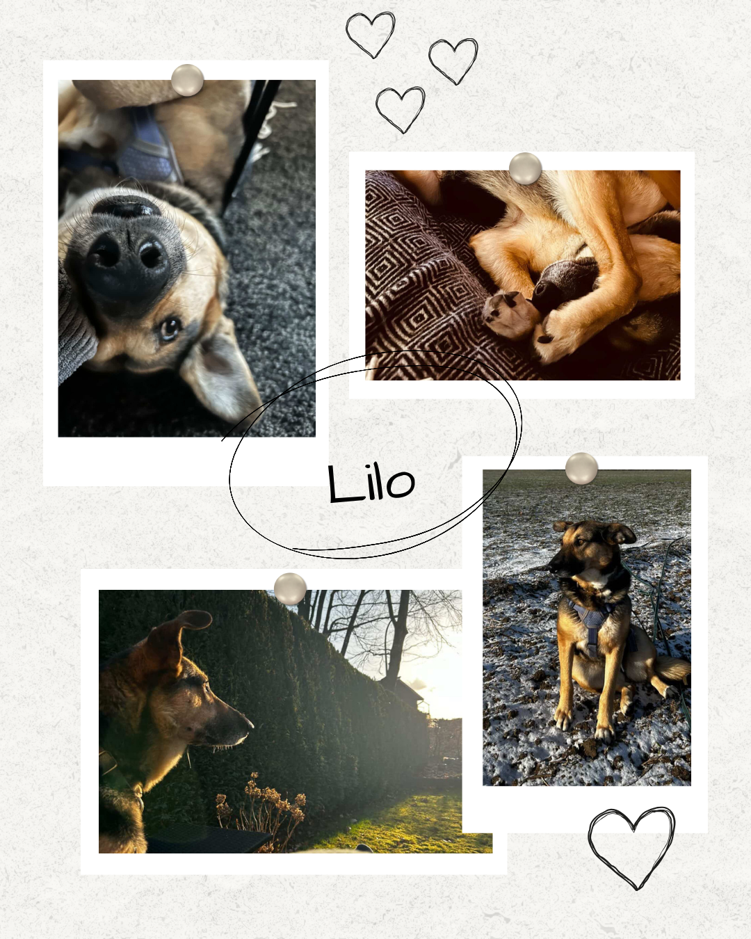 Mehr über den Artikel erfahren Happy End Lilo