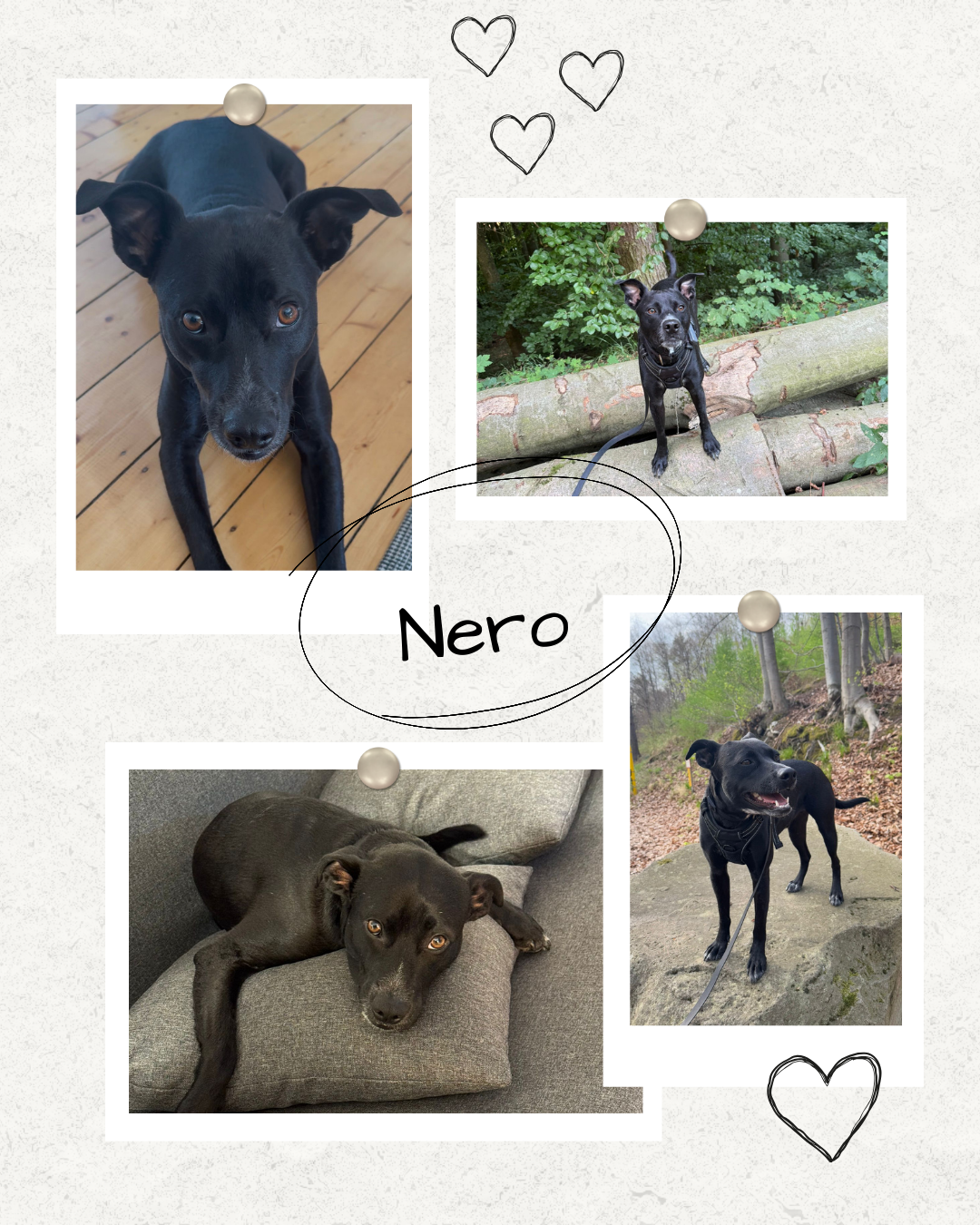 Mehr über den Artikel erfahren Happy End Nero