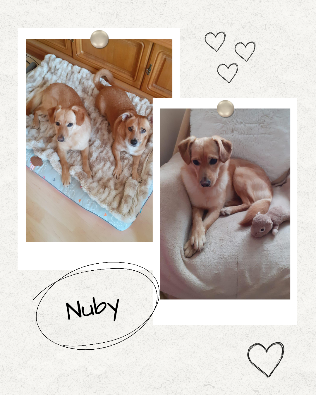 Mehr über den Artikel erfahren Happy End Nuby