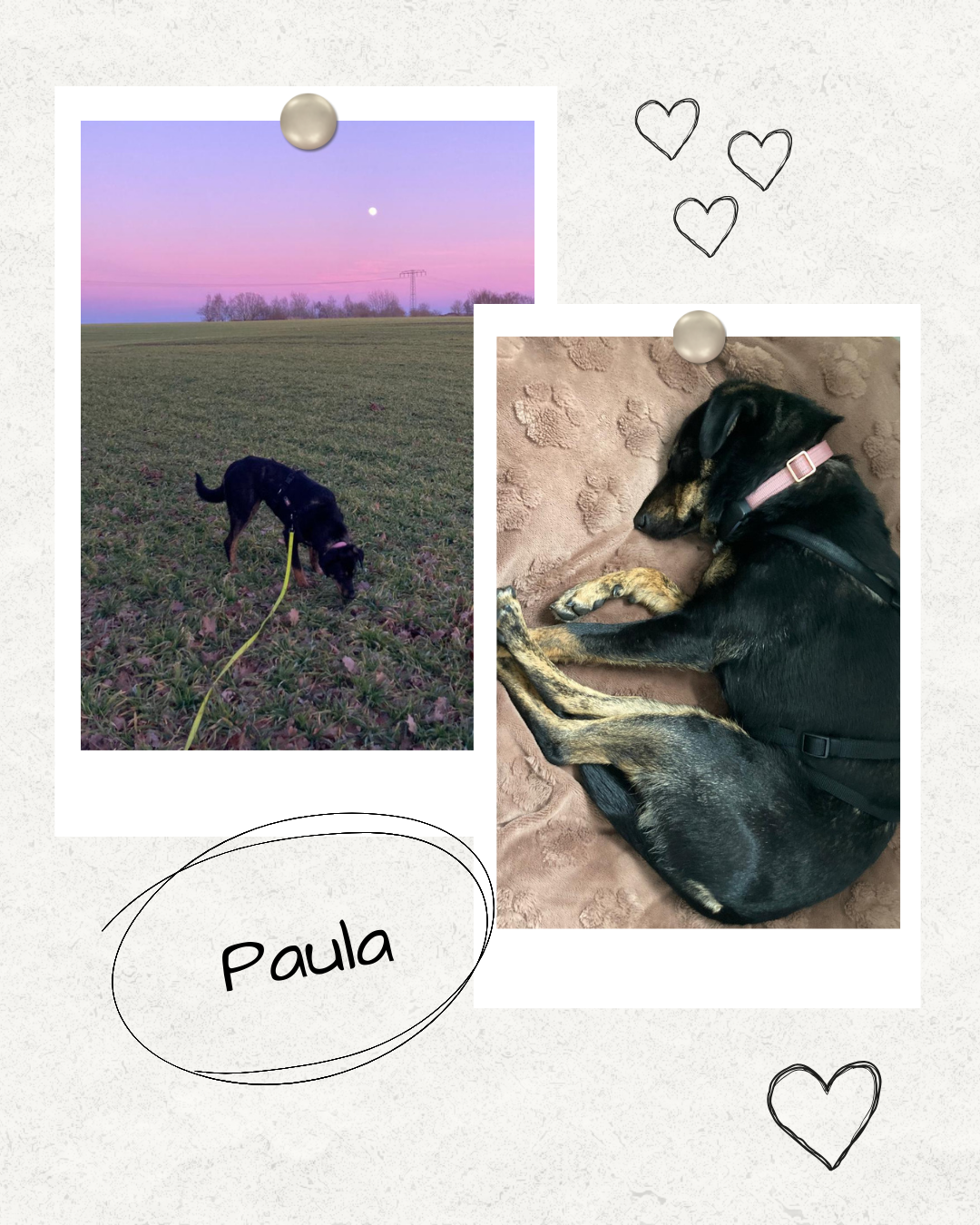 Mehr über den Artikel erfahren Happy End Paula