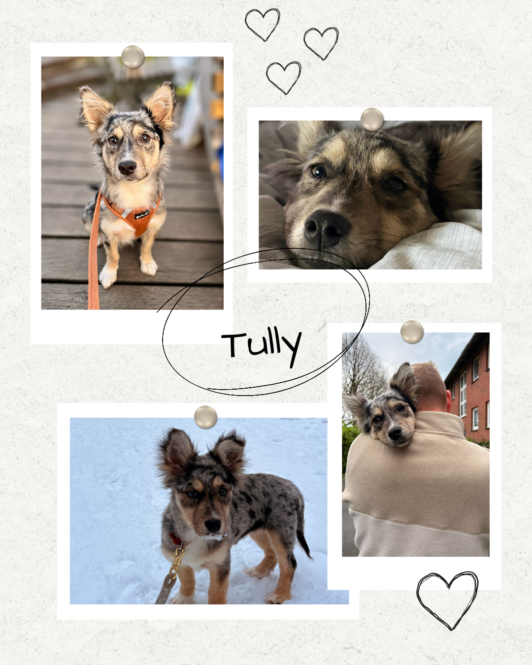 Mehr über den Artikel erfahren Happy End Tully