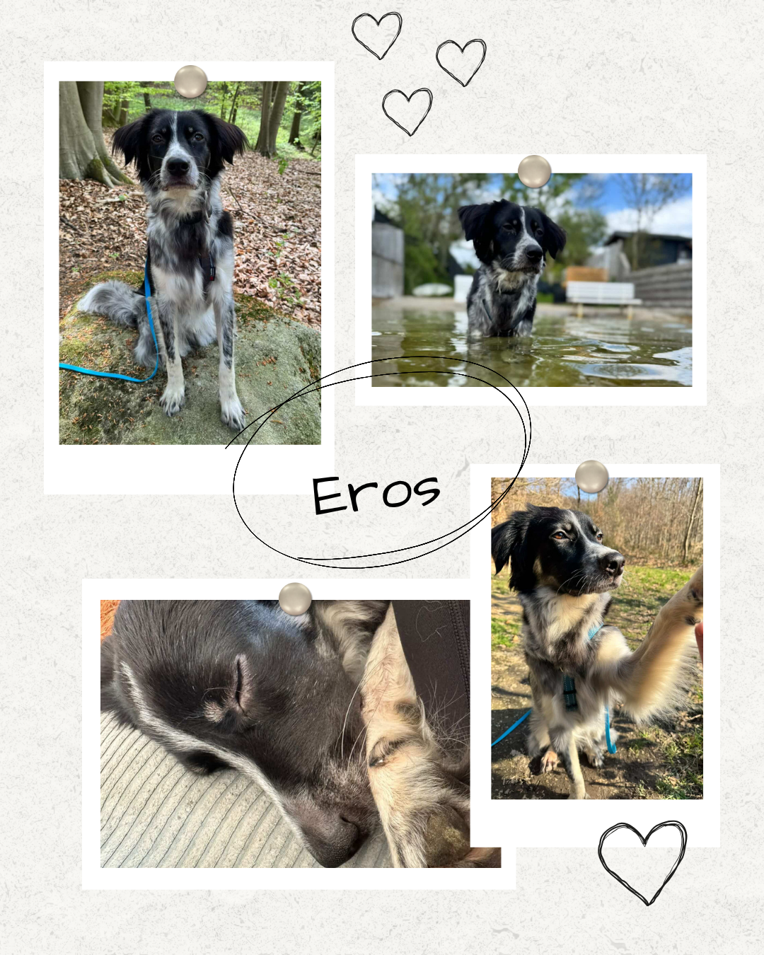 Mehr über den Artikel erfahren Happy End Eros
