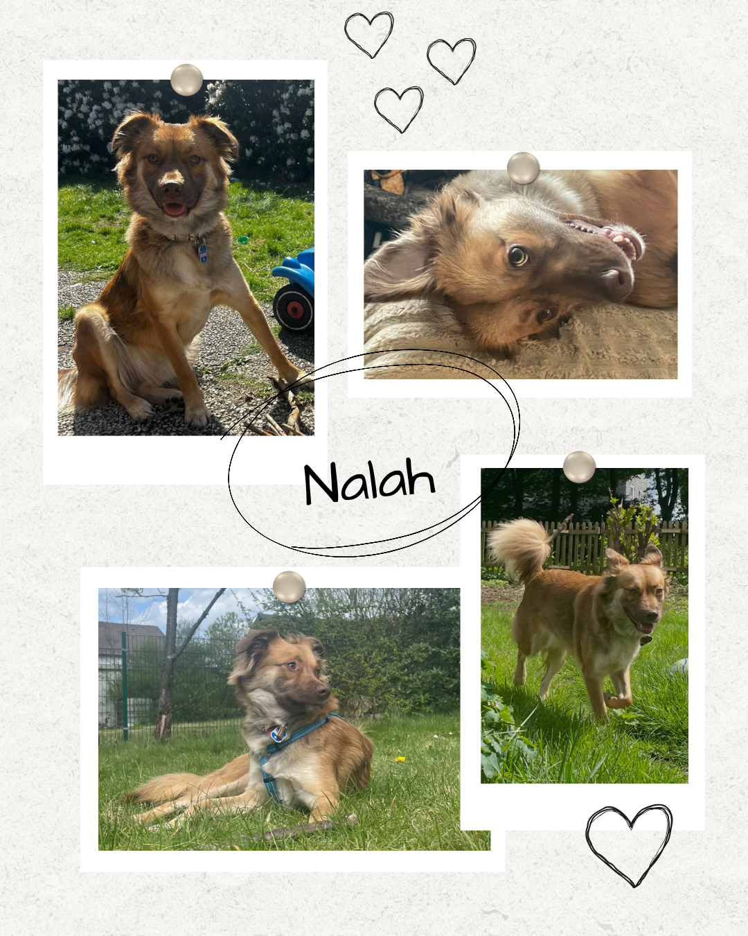 Mehr über den Artikel erfahren Happy End Nalah