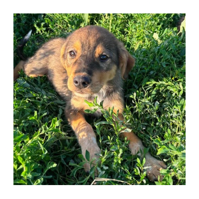 Minnie_ (6)