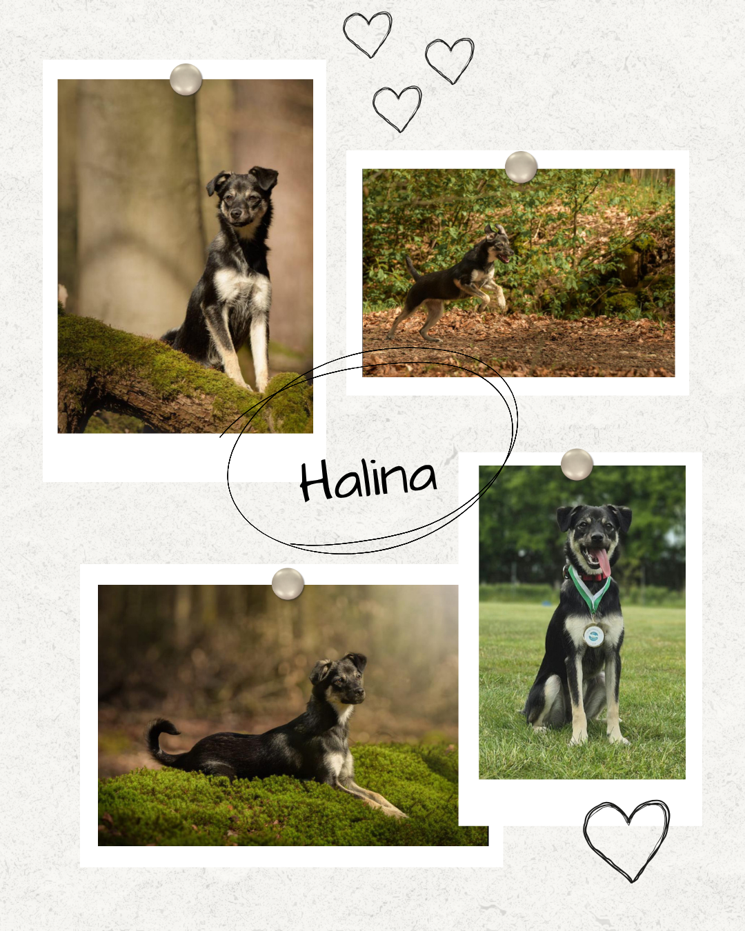 Mehr über den Artikel erfahren Happy End Halina