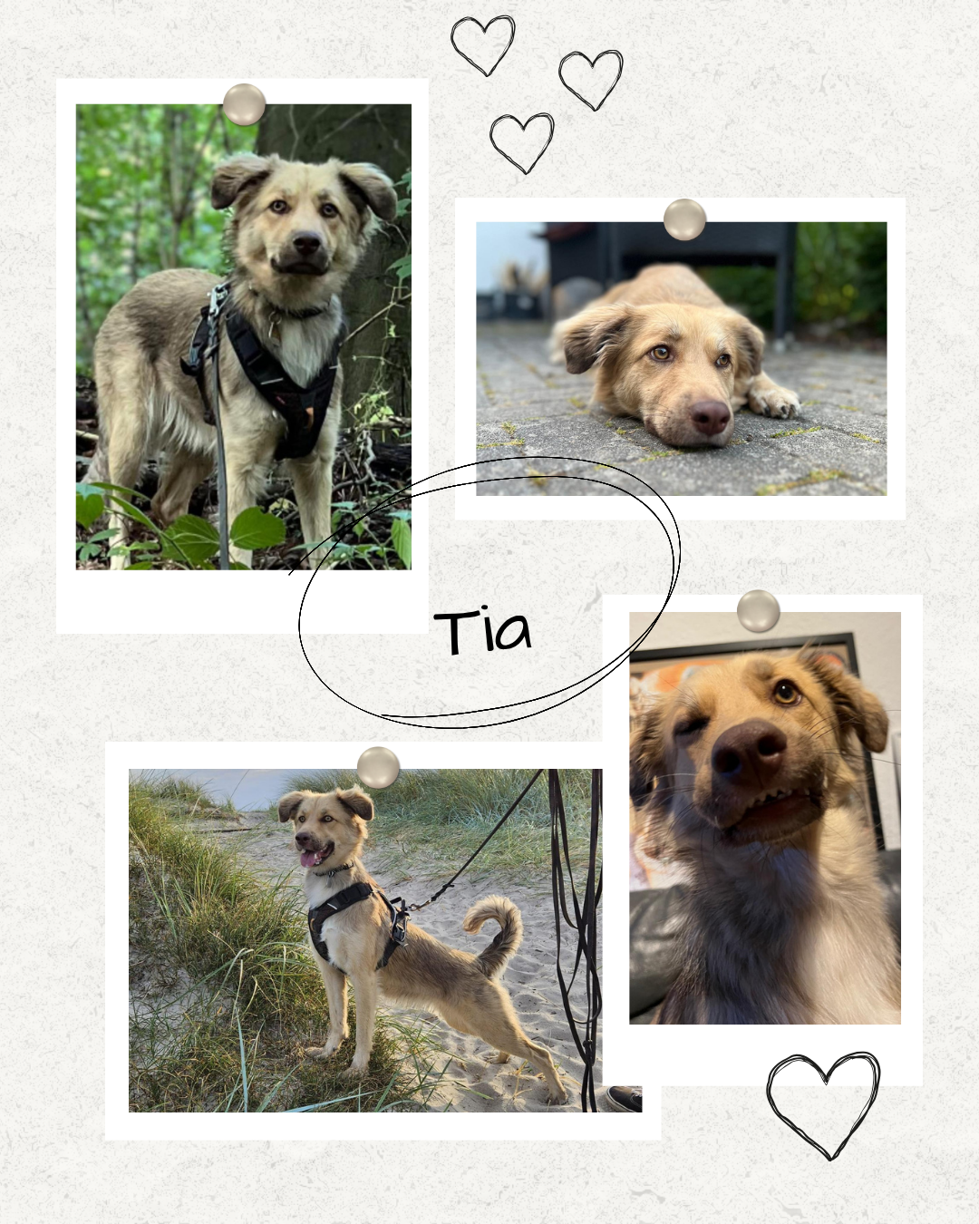 Mehr über den Artikel erfahren Happy End Tia